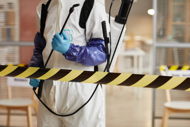Professional Odor Removal technician working in Hilbert, WI